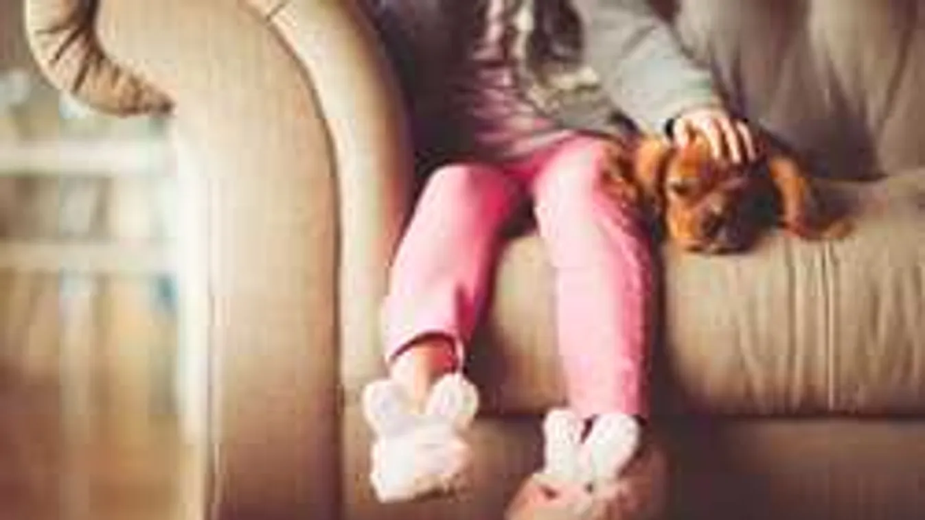 Brutális állatkínzás: élő céltáblának használták a kutyát