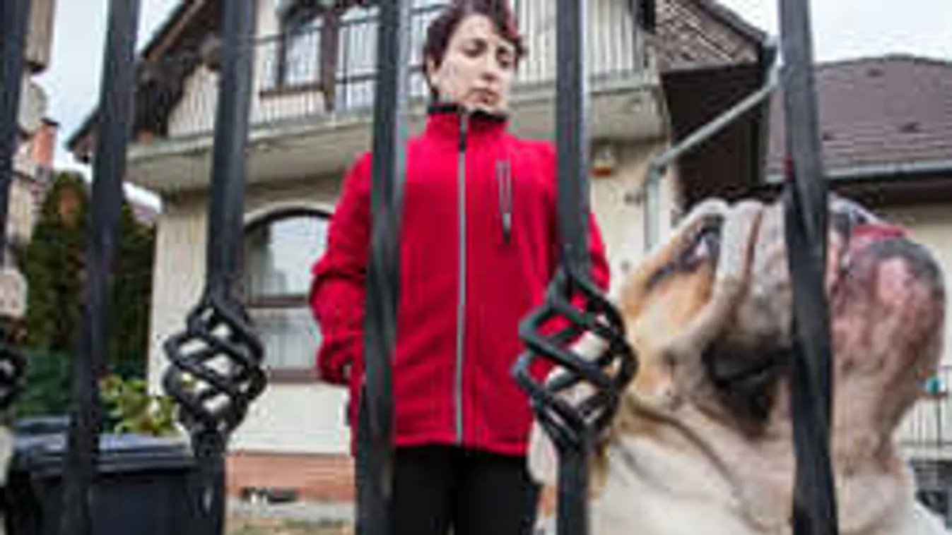 Fellázadt a sintér Halásztelken, nincs kedve gyilkolni