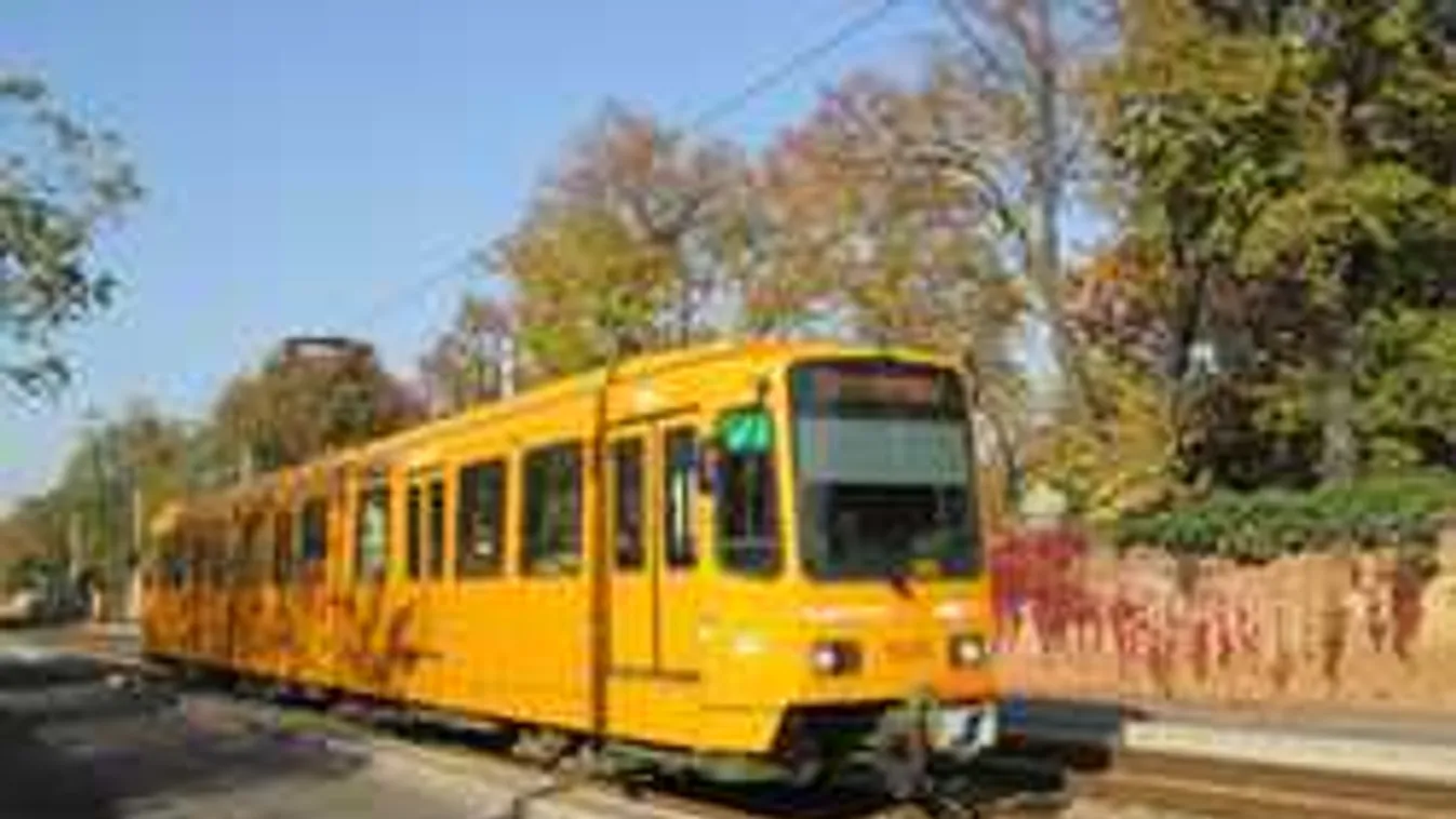 Így tolt ki támadóival a magyar áldozat