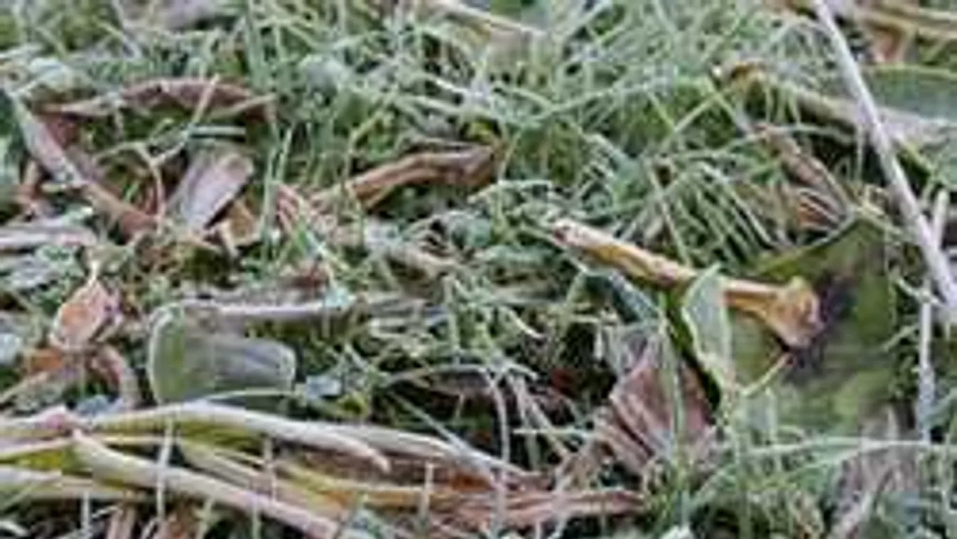 Holtan találták a kisiskolást, akit saját anyja hagyott kint a kertben