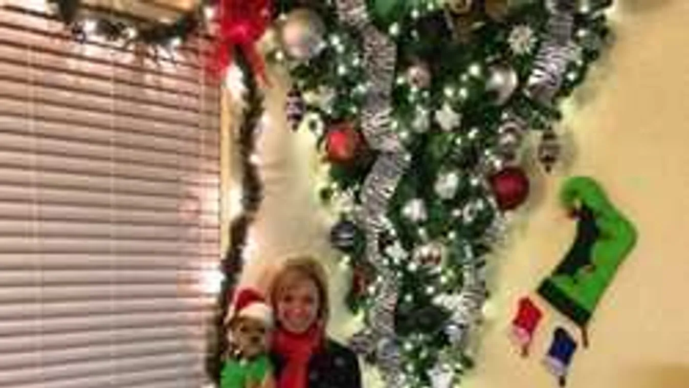 Ez kész őrület! Idén lógni fog a karácsonyfa?