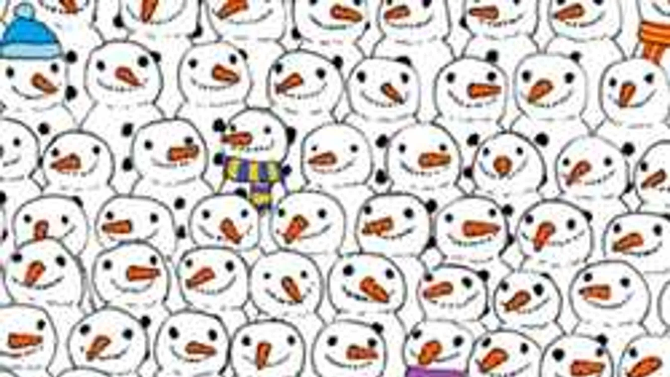 30 másodperced van rájönni a lehetetlenre: hol a panda a képen?!?