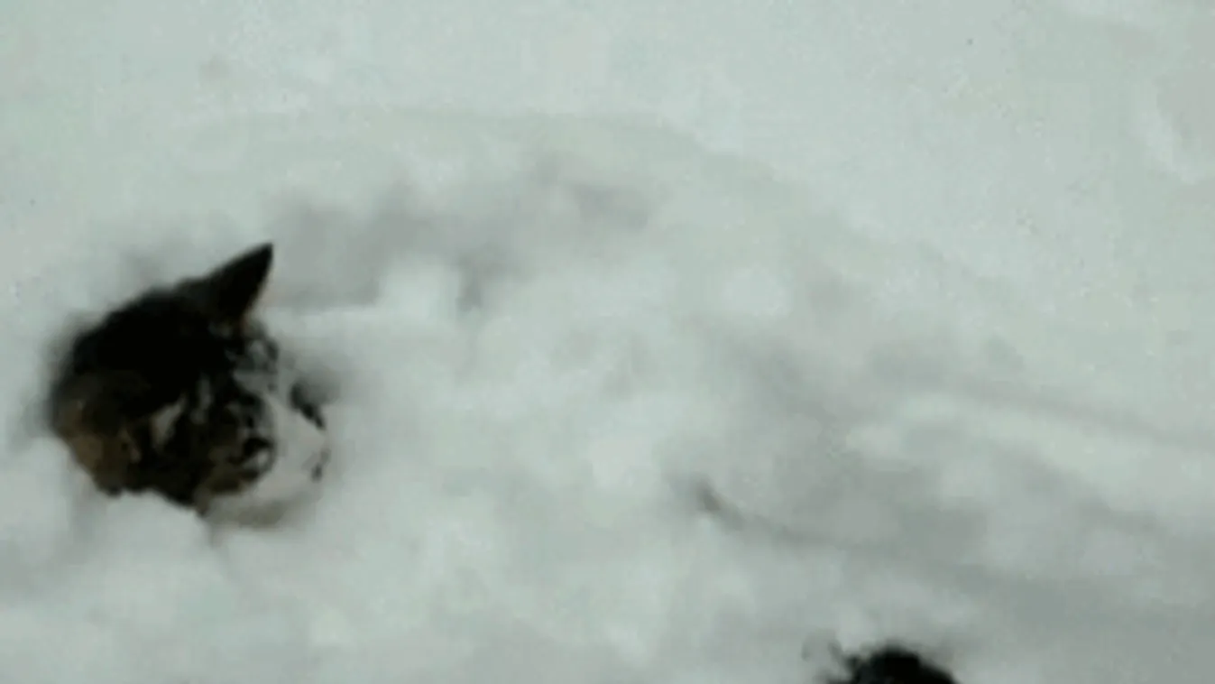 Minden a nyakunkba szakad: fagyos eső és hó tör ránk a hétvégén