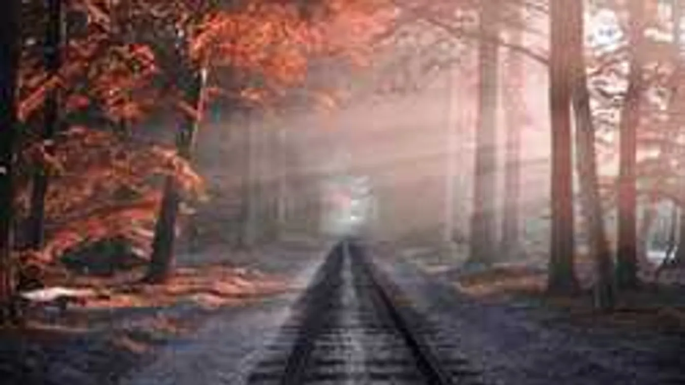 Brutális baleset történt a Budapestre tartó vonattal