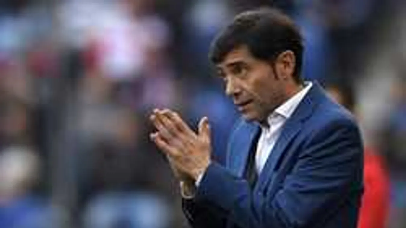 Autóbalesetet szenvedett a sztáredző: vaddisznóval ütközött