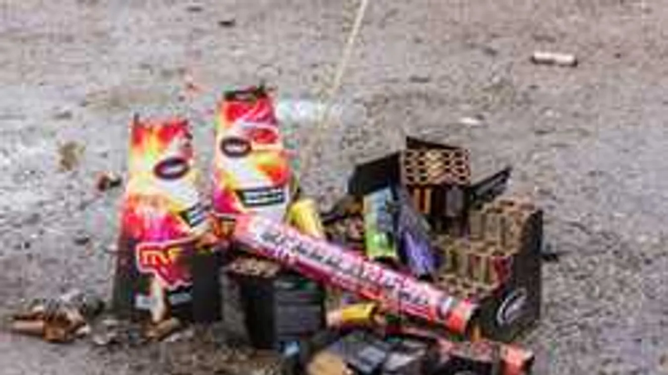 Viharkabát-elv mentheti meg a kutyákat a petárdáktól