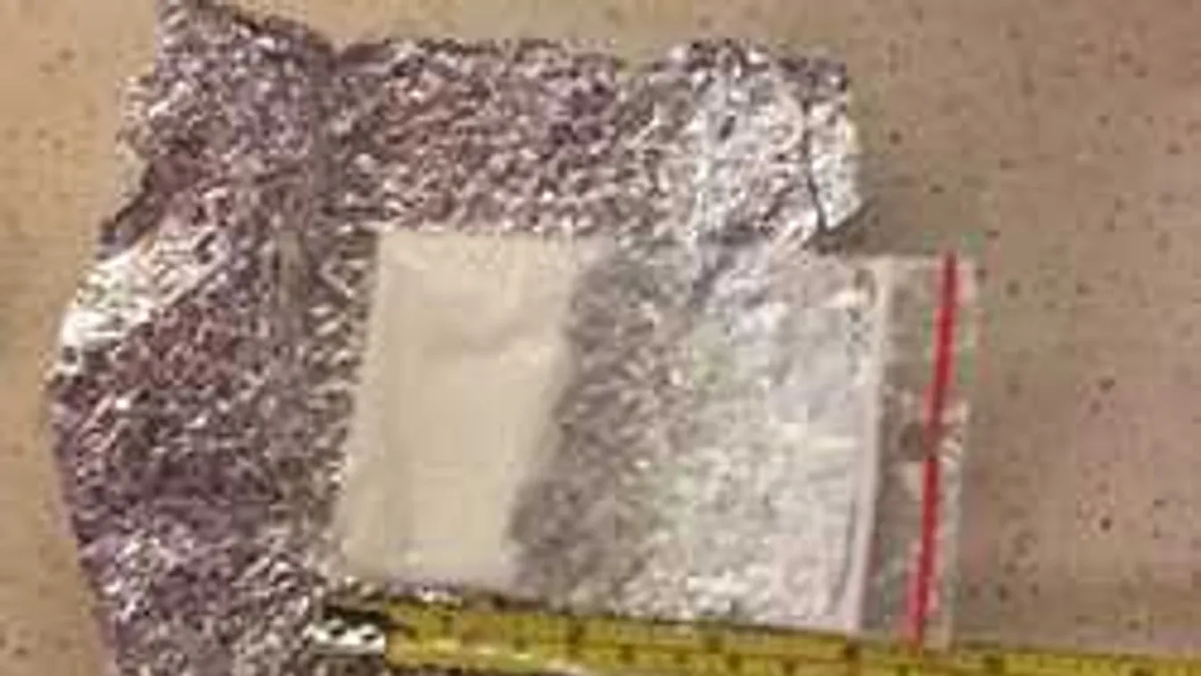 Felfüggesztette letartóztatott képviselője párttagságát az MSZP