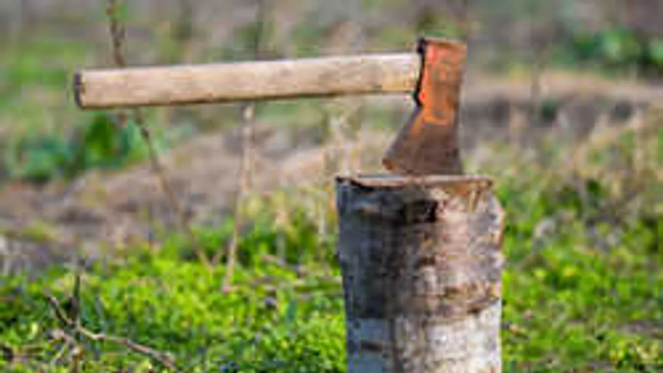 Sosem volt még ennyire könnyű felaprítani a tűzifát, hihetetlen trükk