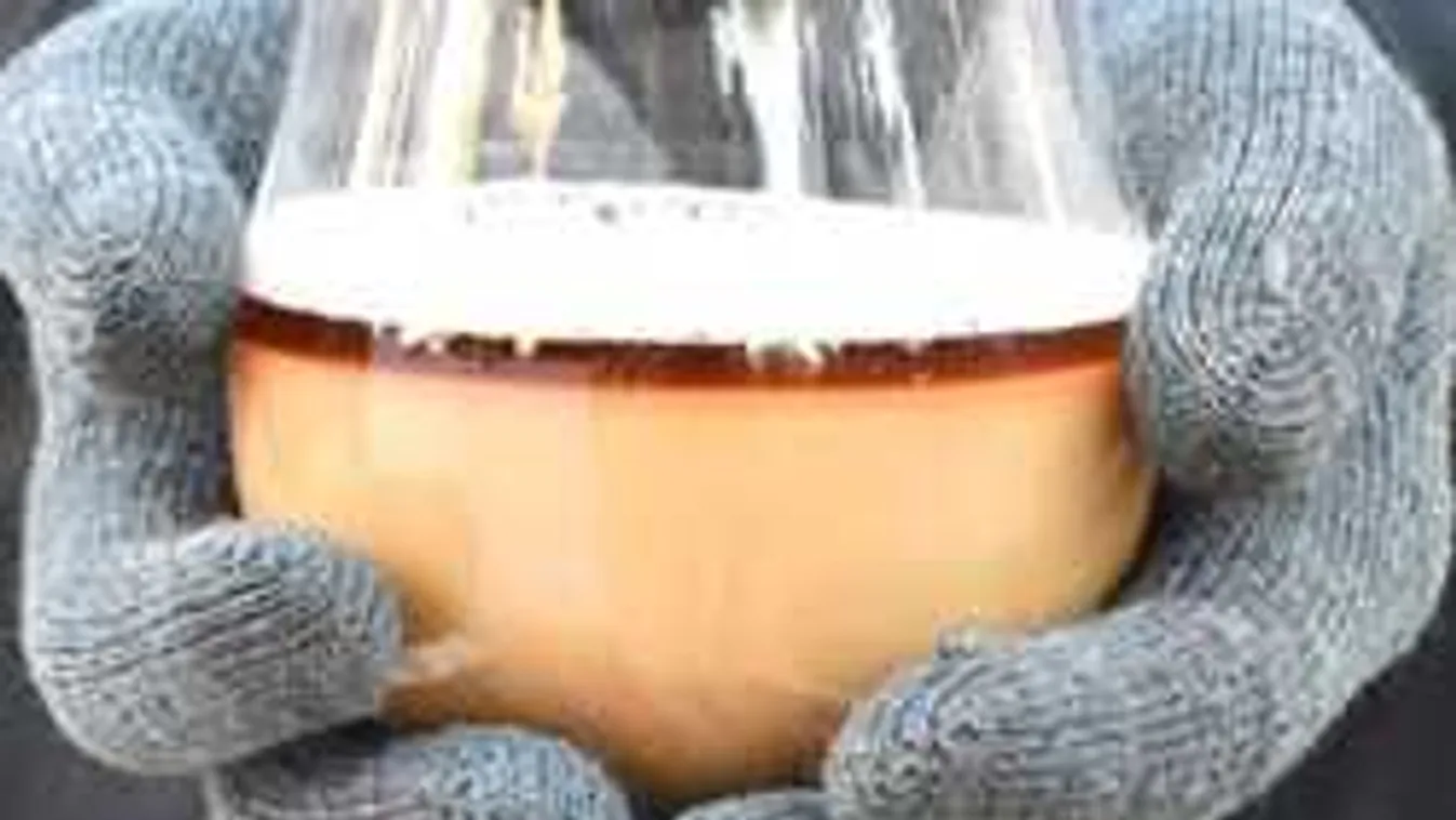 Mi az igazság? Lehet vagy nem alkoholt inni az antibiotikumra?