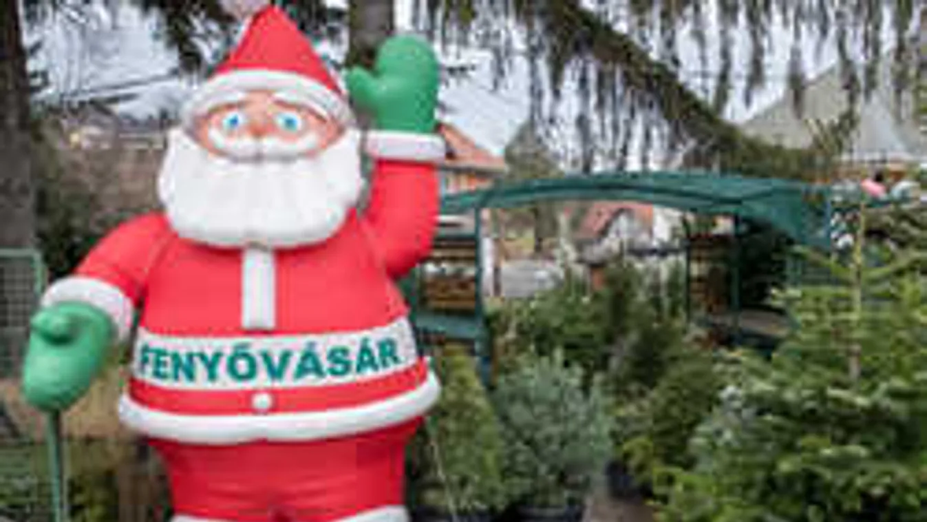 Ne dőlj be a drága fenyőfáknak, mutatjuk, hol tudod olcsóbban megvenni