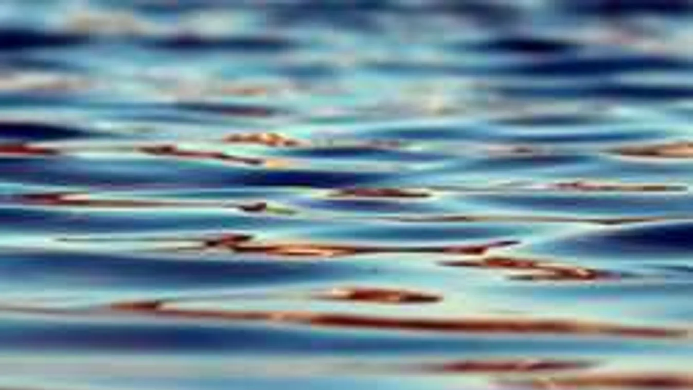 Tragikus hír jött: holtan találták az eltűnt ovist, hiába keresték