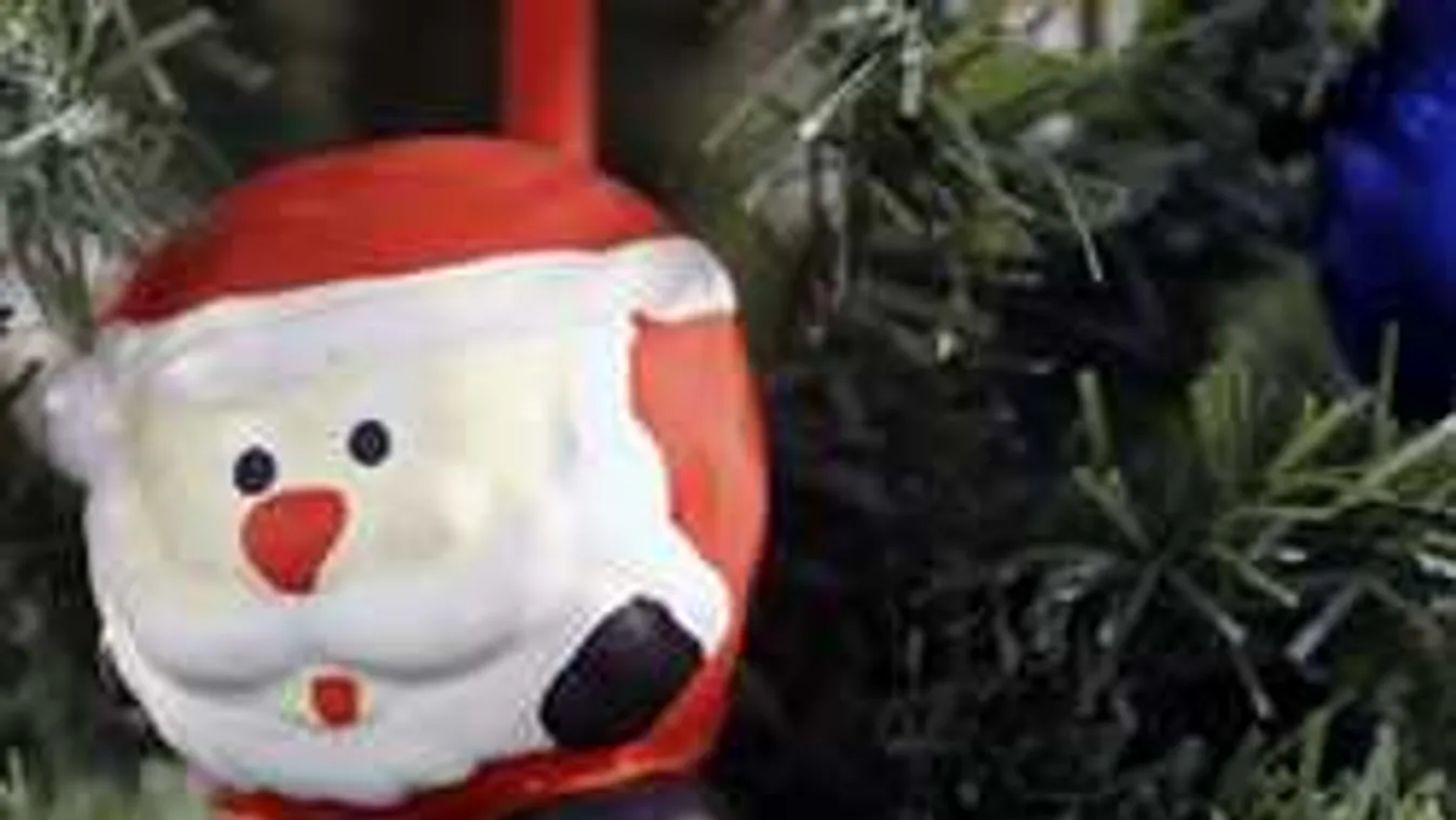 Nem is gondolnád, mit kap a legtöbb házi kedvenc karácsonyra