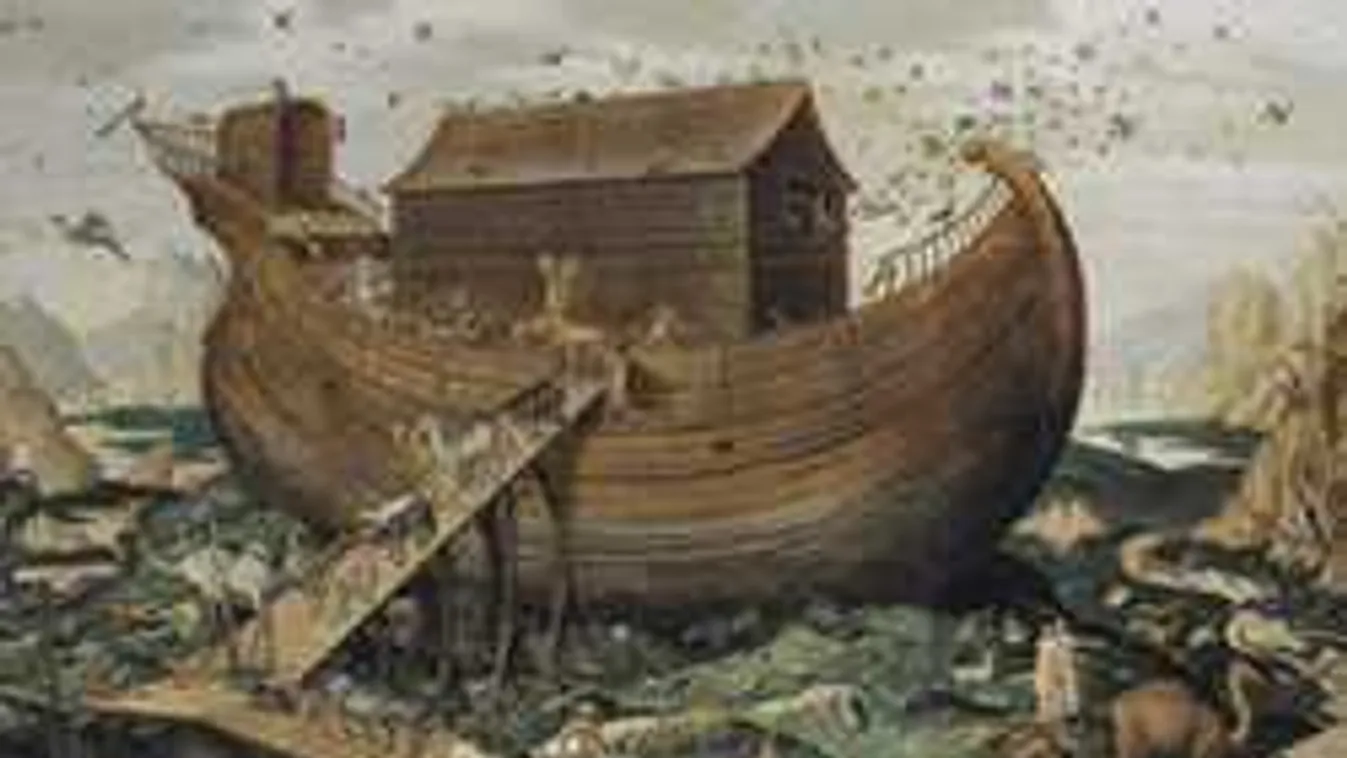 A tudósok bejelentették: történelmi jelentőségű felfedezést tettek