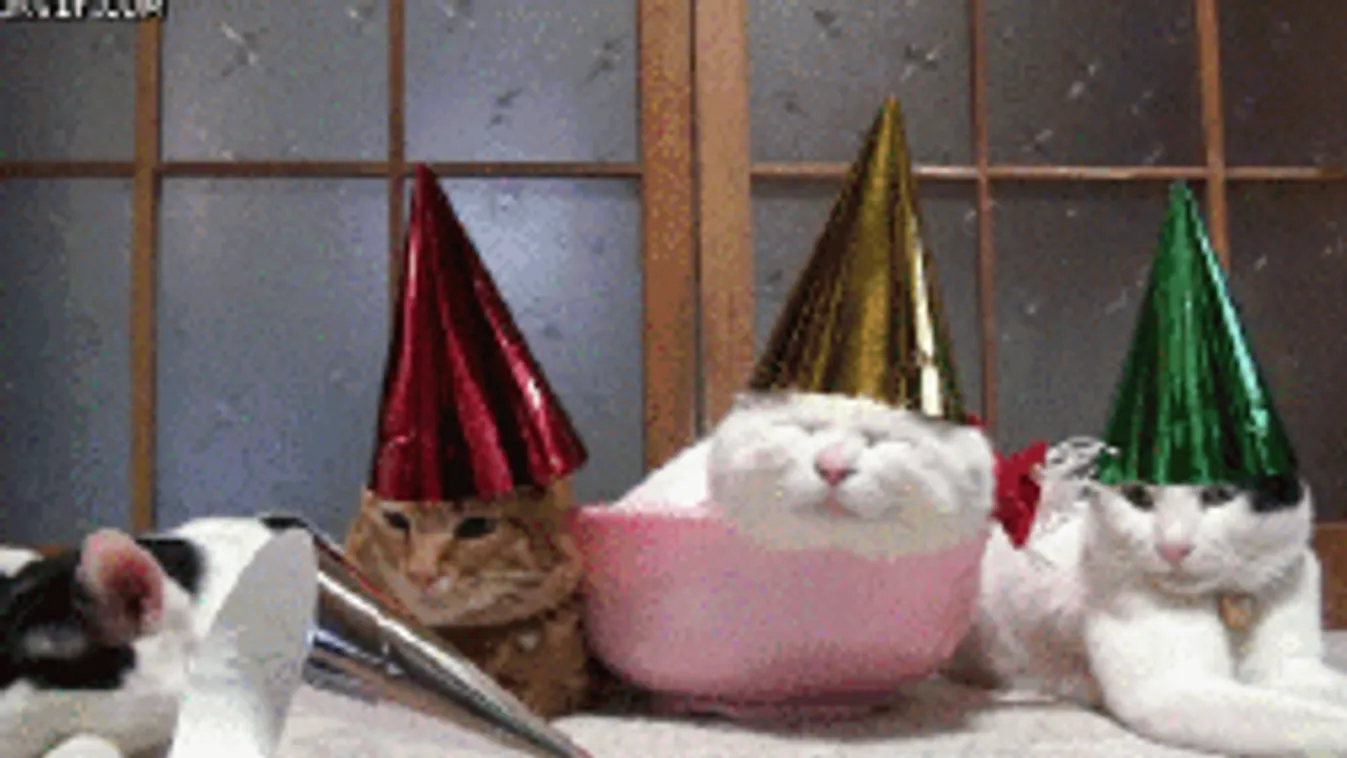 Ezt nem ússzuk meg: nagy meglepetést tartogat az időjárás év végére