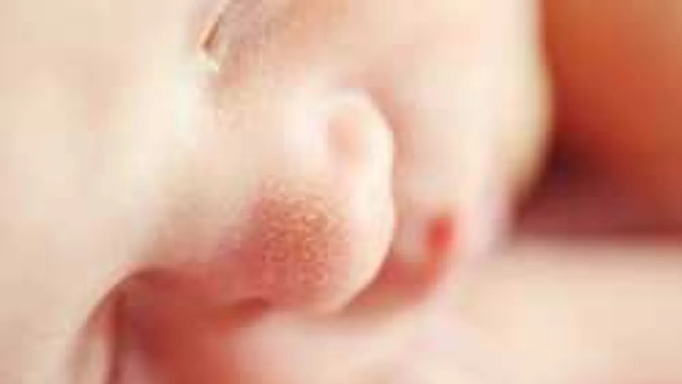 Megrázó részletek derültek ki az érdi csecsemőgyilkosságról