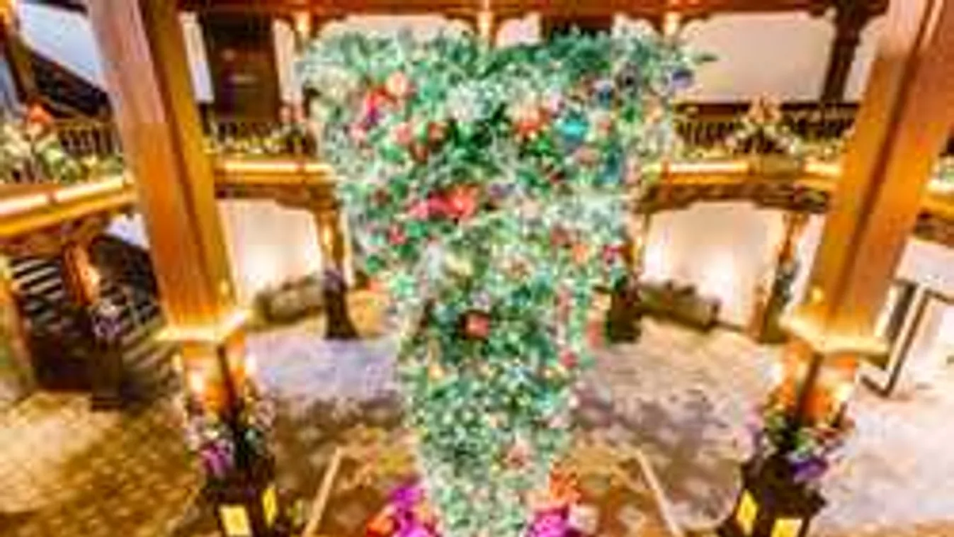 Itt a valaha volt legextrémebb karácsonyi trend - Fotók