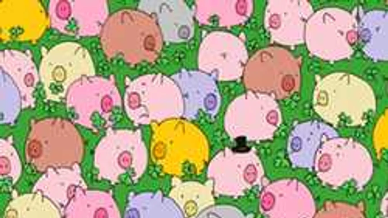 2017 legdurvább képrejtvénye mindenkin kifogott: Meg tudod oldani?