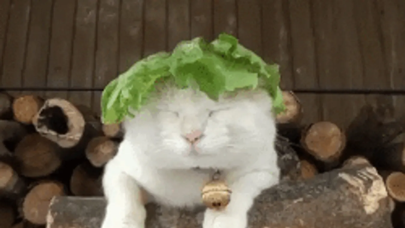 Lehetetlen idővel köszönt be a hétvége, erre készülj