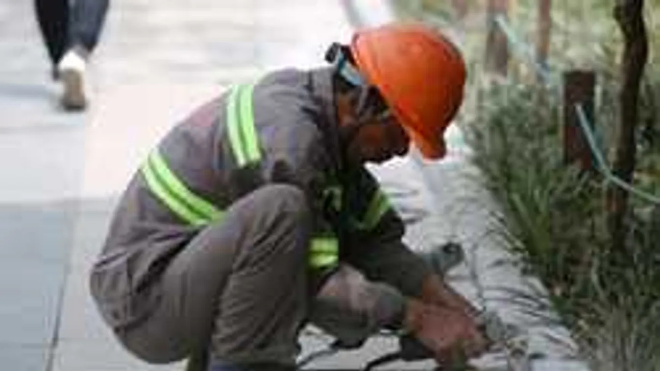 Német professzor: A migránsoknak alacsonyabb az IQ-juk