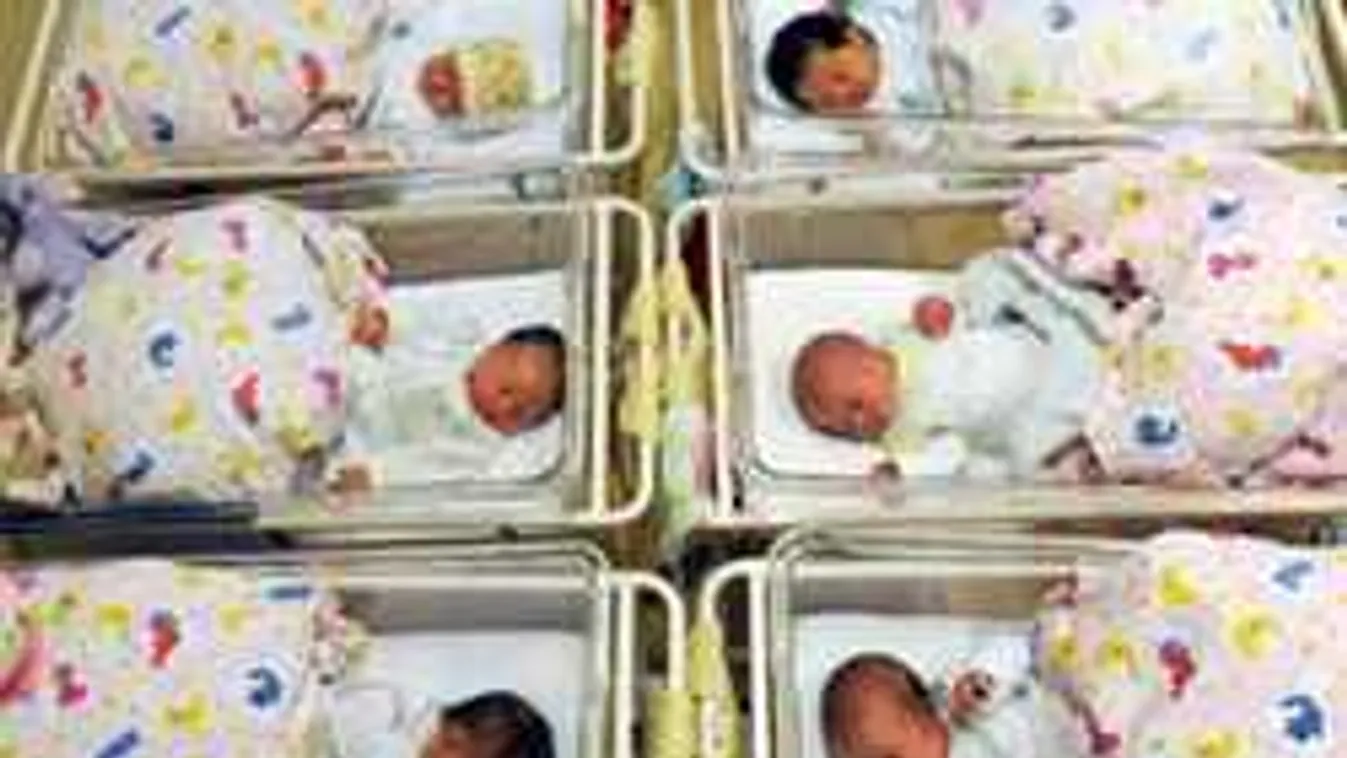 Ellepik Ausztriát a Muhammedek