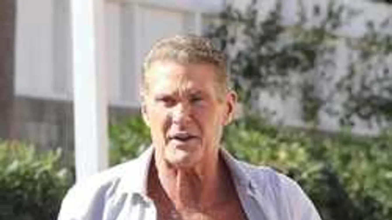 David Hasselhoff olyan keményet villantott, hogy keressük a szavakat