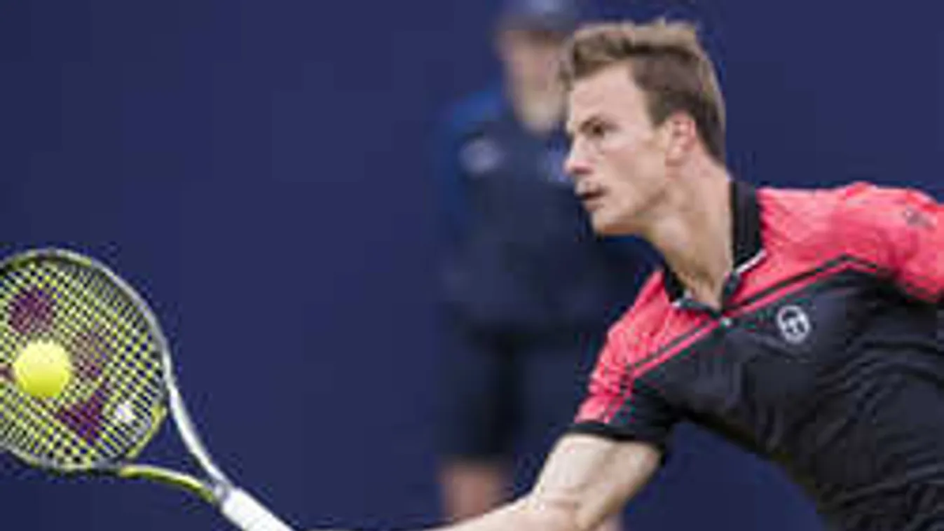 Fucsovics az edzőjéért állhat bosszút Federeren