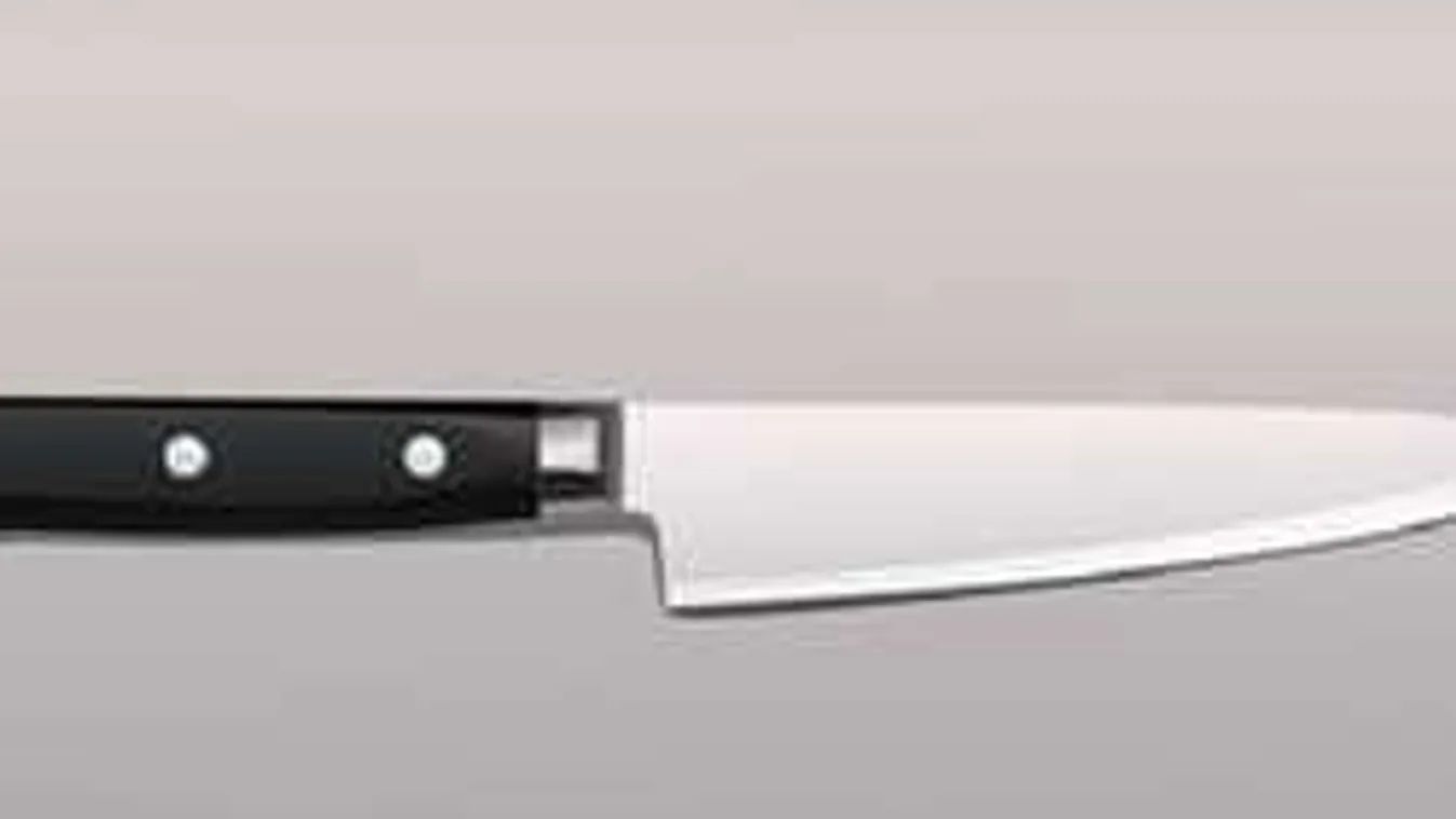 Diszkóba vágyott a szír: Oda térítette el egy késsel az autóbuszt