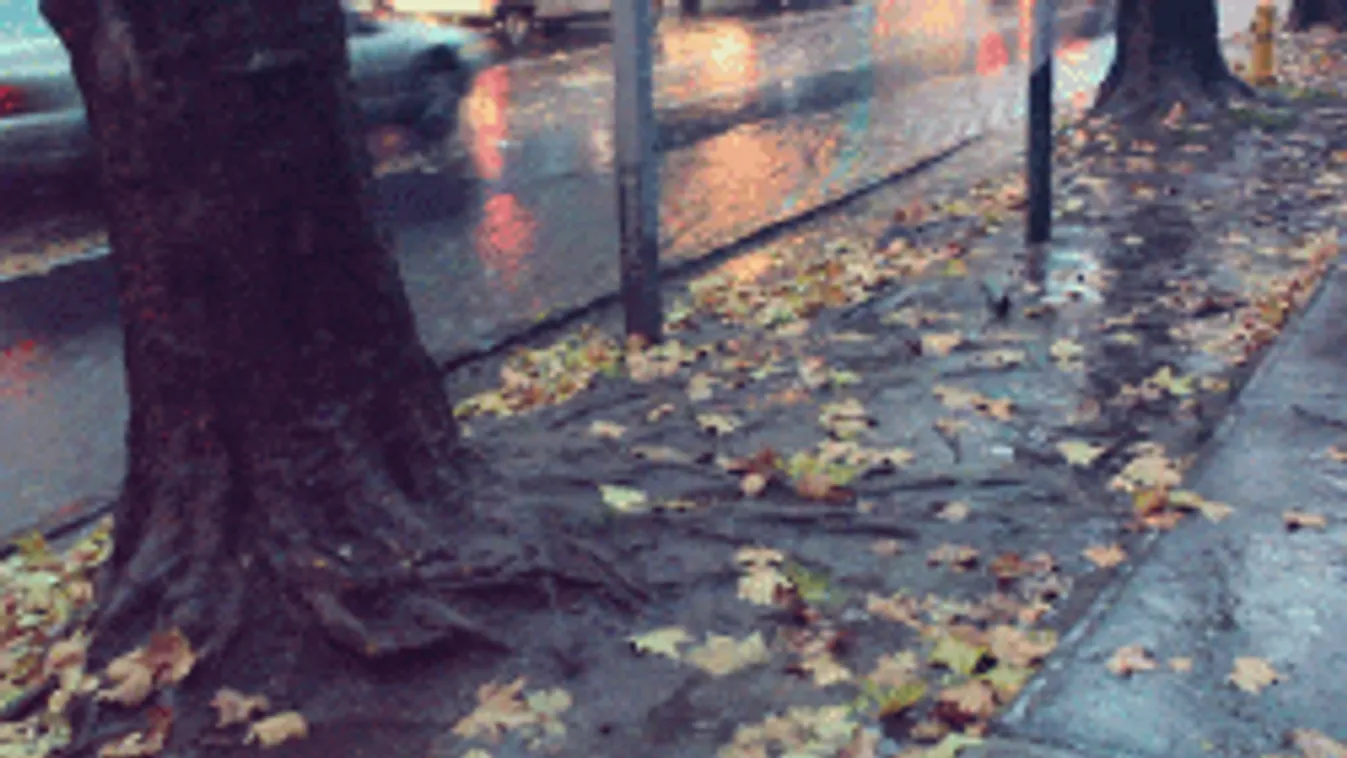 Itt esik ma sáros eső az országban!