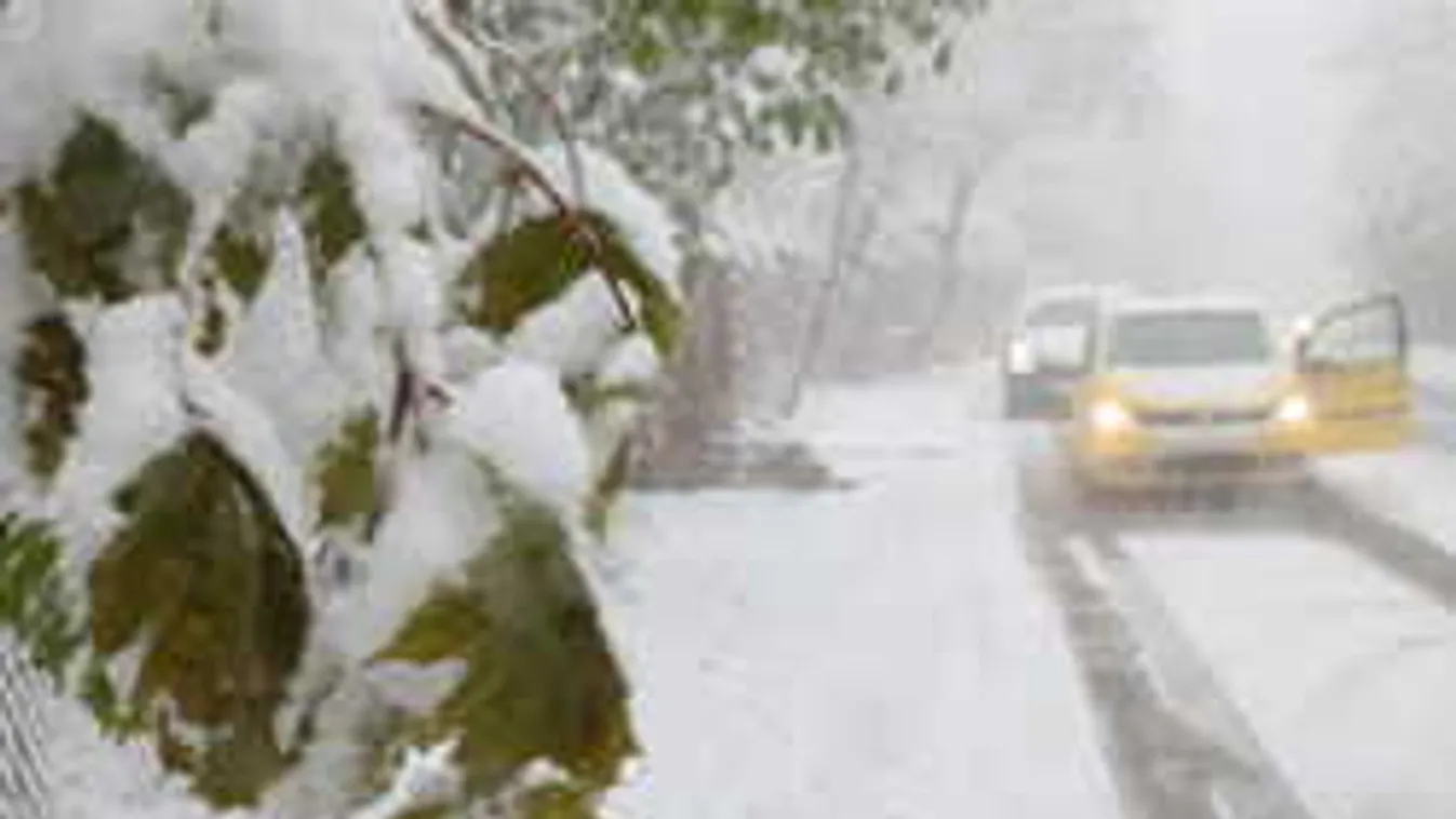 Elképesztő felvételek érkeztek, ezt teszi az állatokkal az ítéletidő