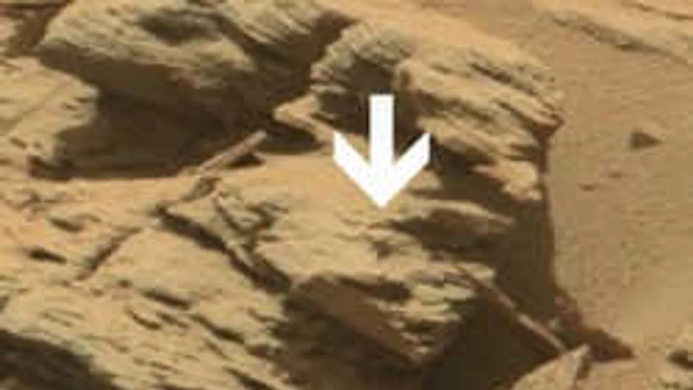 A hajukat tépték a tudósok, amikor meglátták ezt a felvételt...