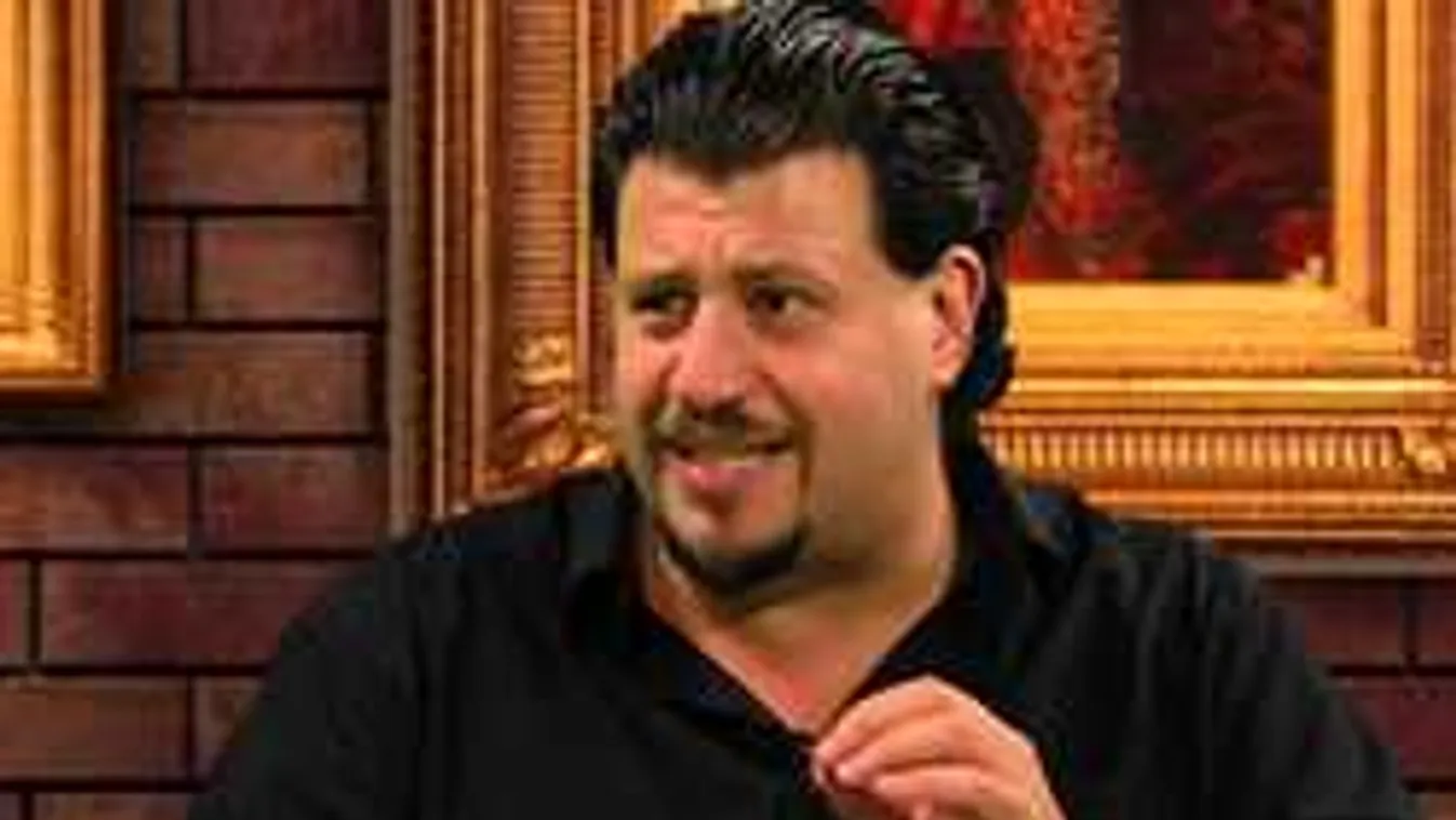 Ilyen nincs és mégis van, Puzsér önmagát kritizálta