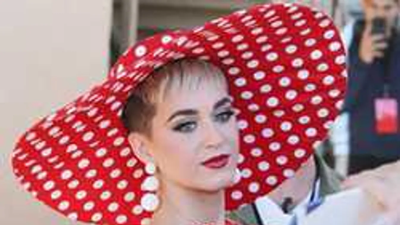 Nem érezte magát biztonságban az énekesnő, durva, amit rajongója tett