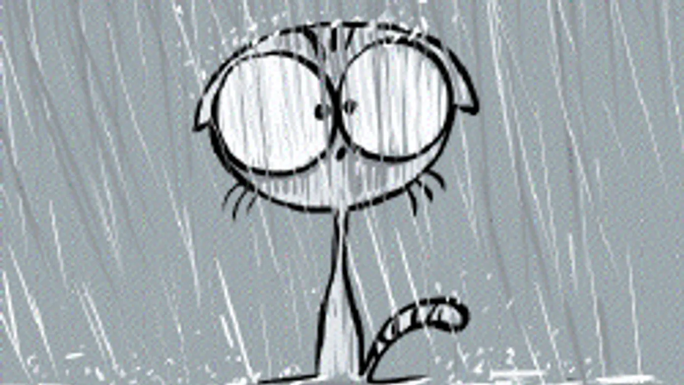 Megőrült az időjárás: nagy eső lesz, aztán jön a meglepetés