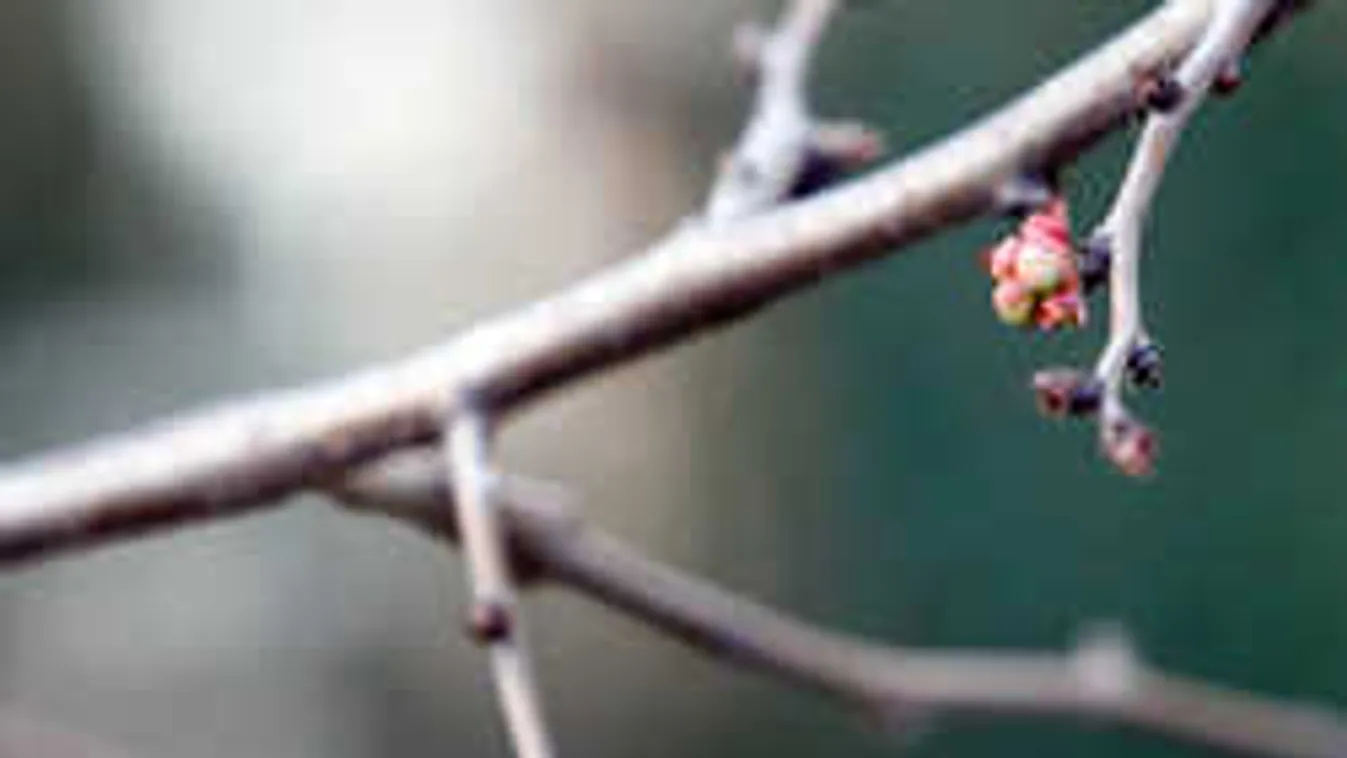 Hihetetlen idővel köszönt ránk a vasárnap