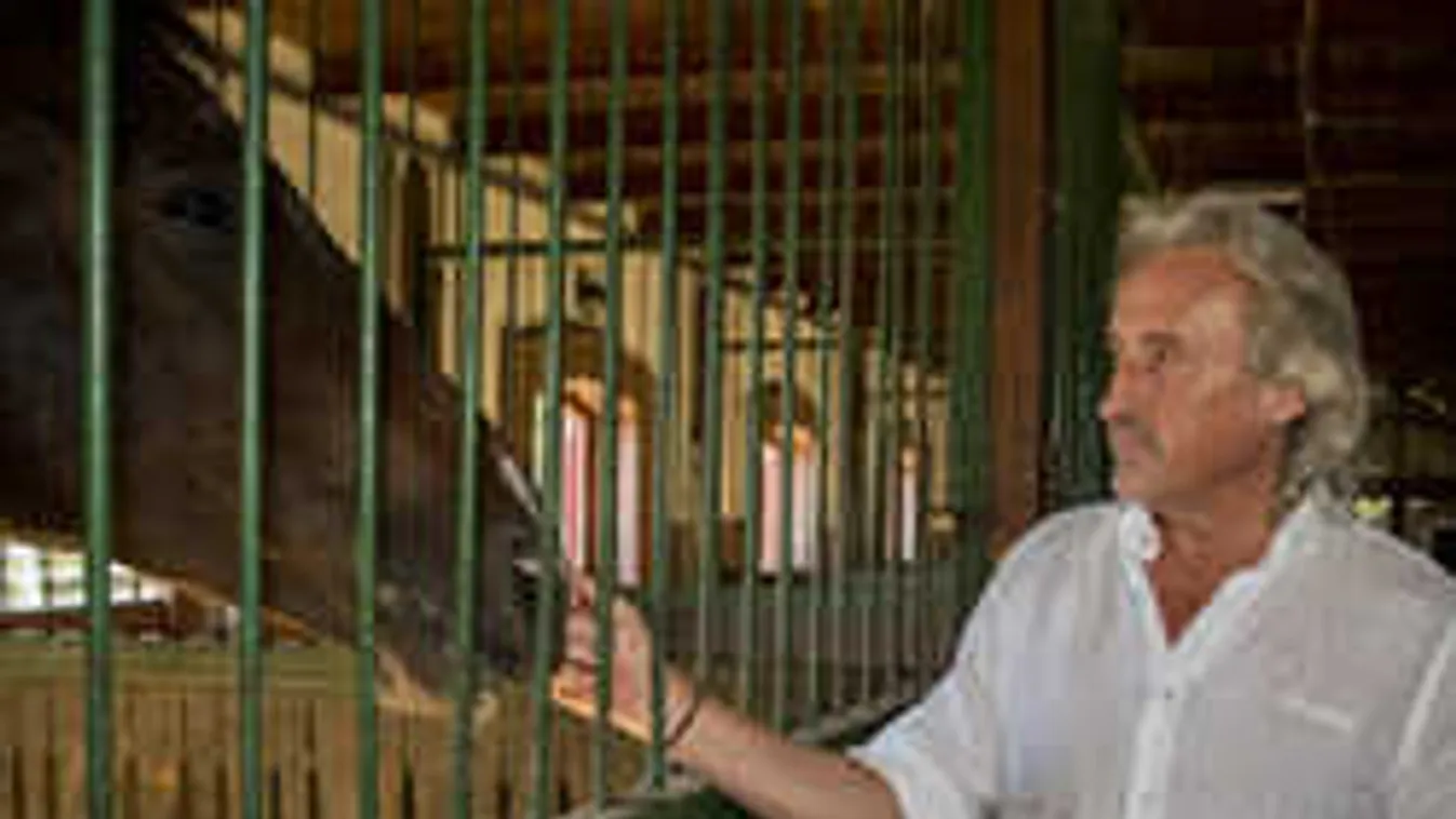 Elrepedt az arccsontja, összedrótozták a magyar sztárszínész fogait