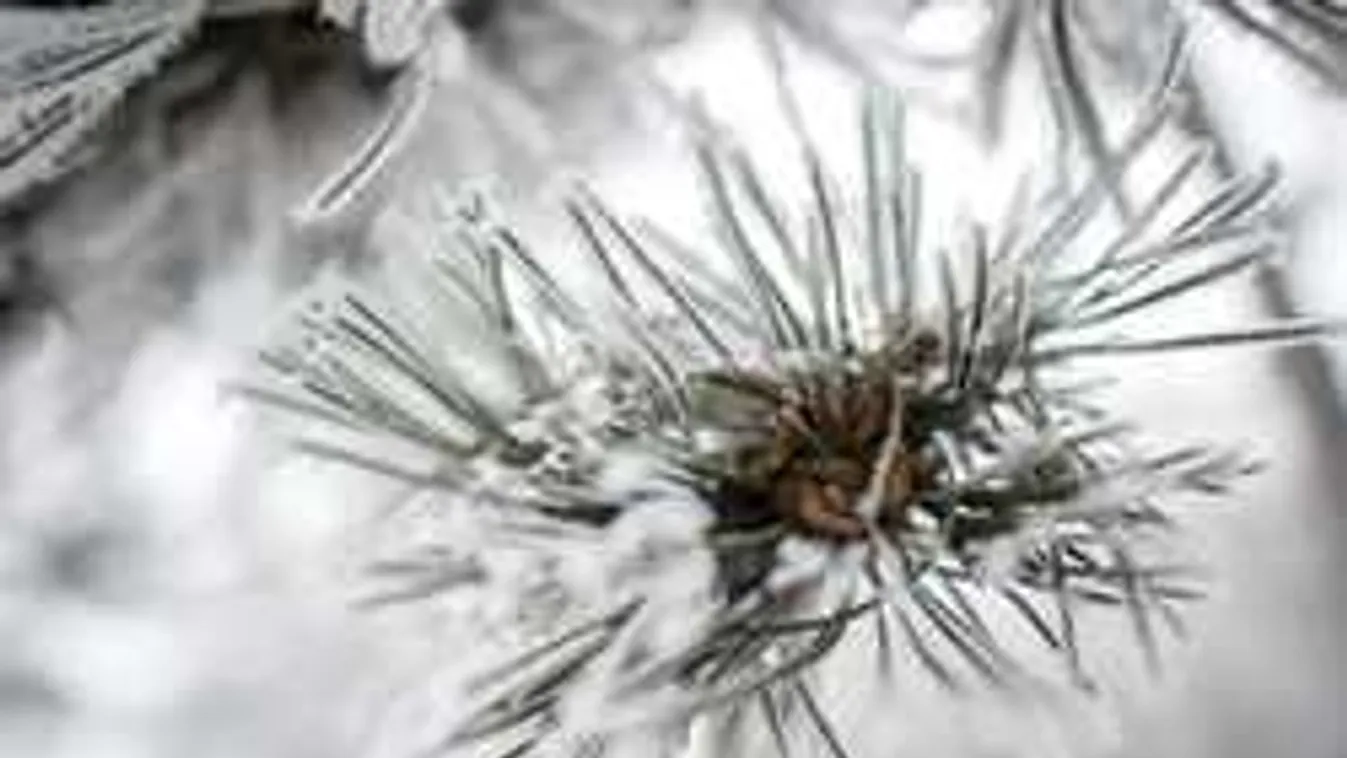 Fordulatot hoz a tél, összecsapnak az elemek