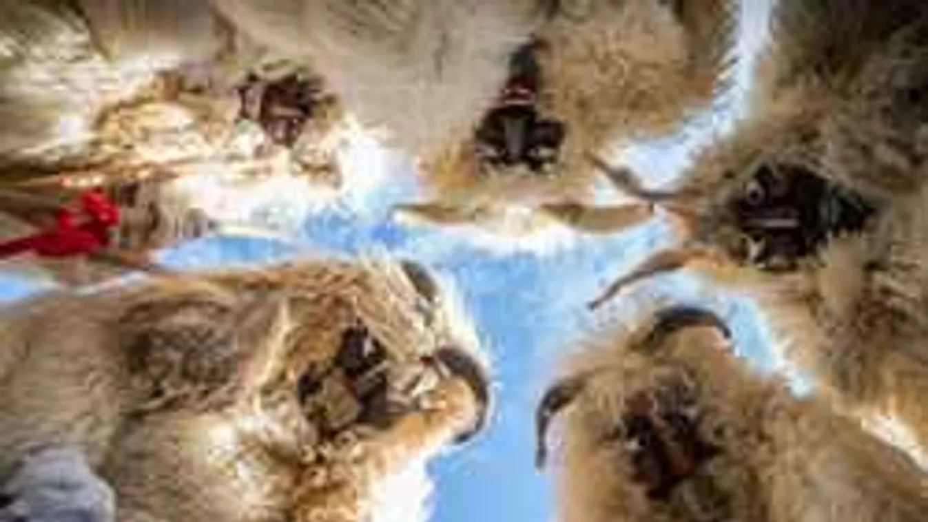 Rekord számú szörny búcsúztatja a telet az idei busójáráson