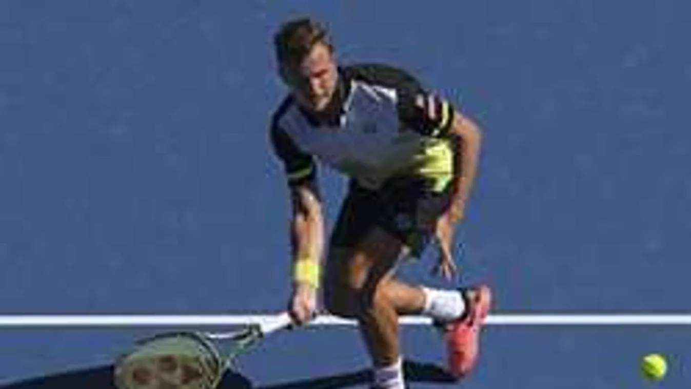 Fucsovics sérülten küzdött, vérét adta a csapatért