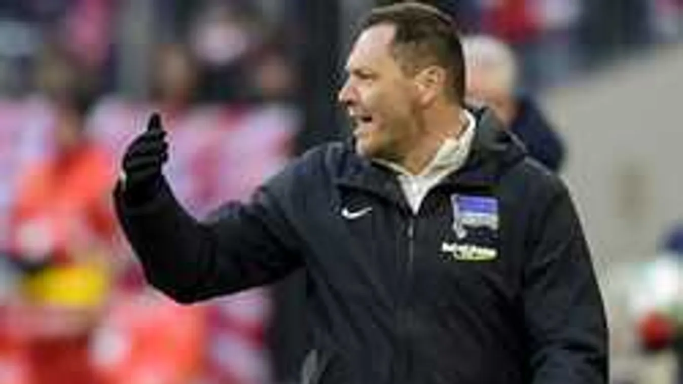 Dárdai óriási tervein ámul a világ: sztárokkal erősítene