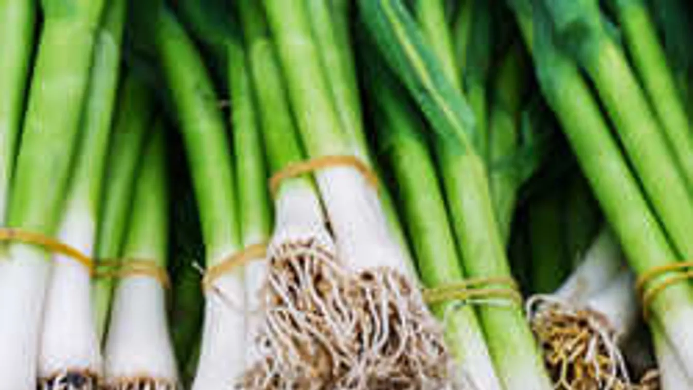 Véletlenül se dobd ki az újhagyma végét! Ezt nézd, mi lesz belőle