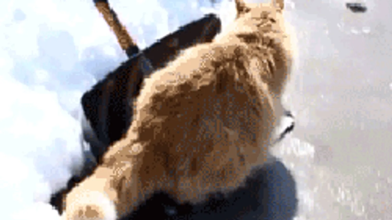 Hófúvással érkezik az eddigi legdurvább lehűlés, nem kegyelmez a fagy