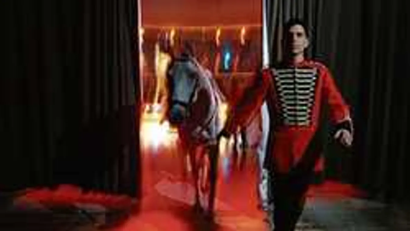 Ez ölhette meg a fiatal porondmestert a Fővárosi Nagycirkuszban