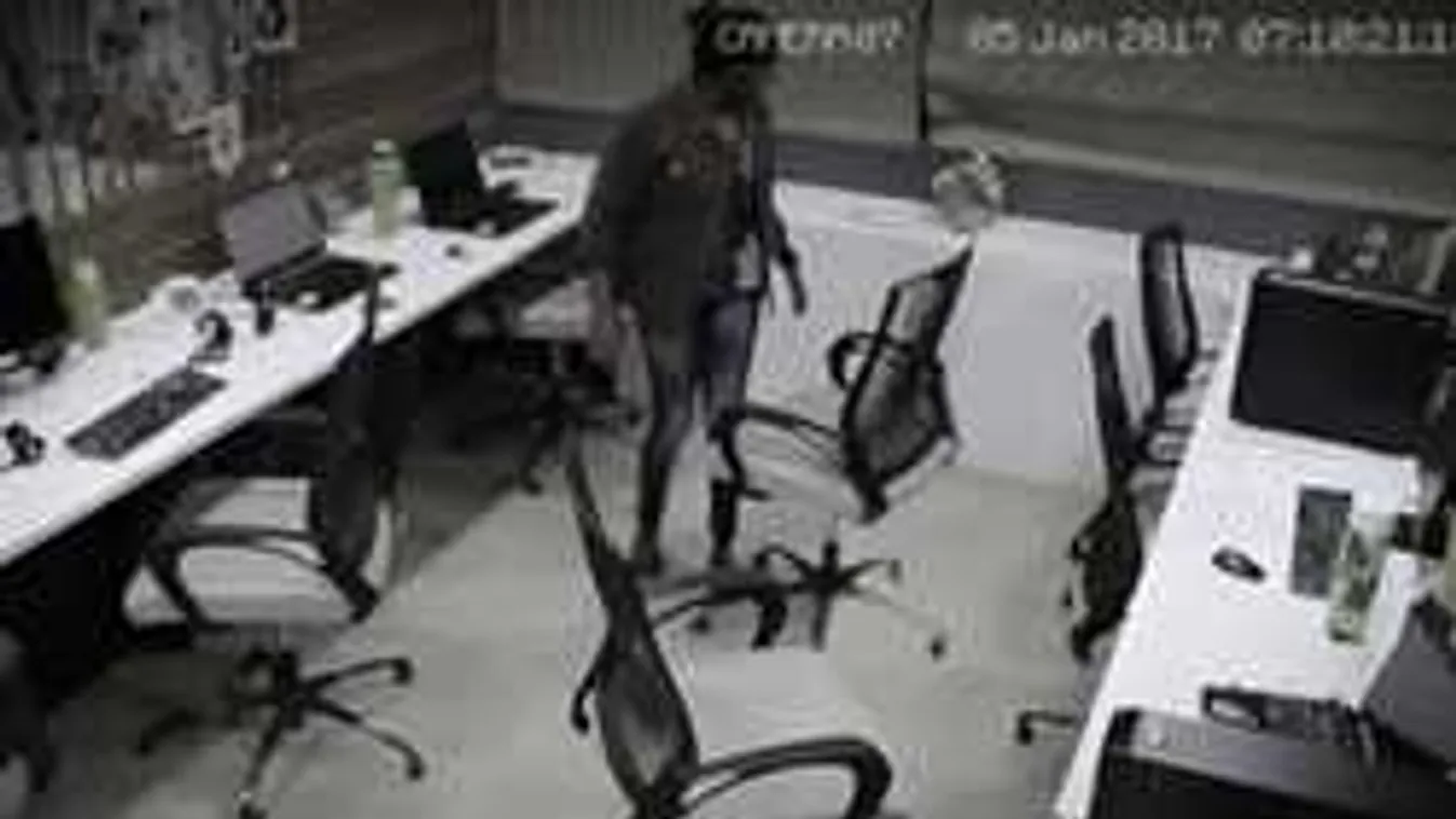 Pánikba estek az emberek ettől a videótól - te elhiszed, amit látsz?!