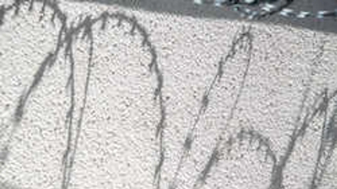 Botrány a Lidlnél: durván megaláztak egy nőt a biztonságiak