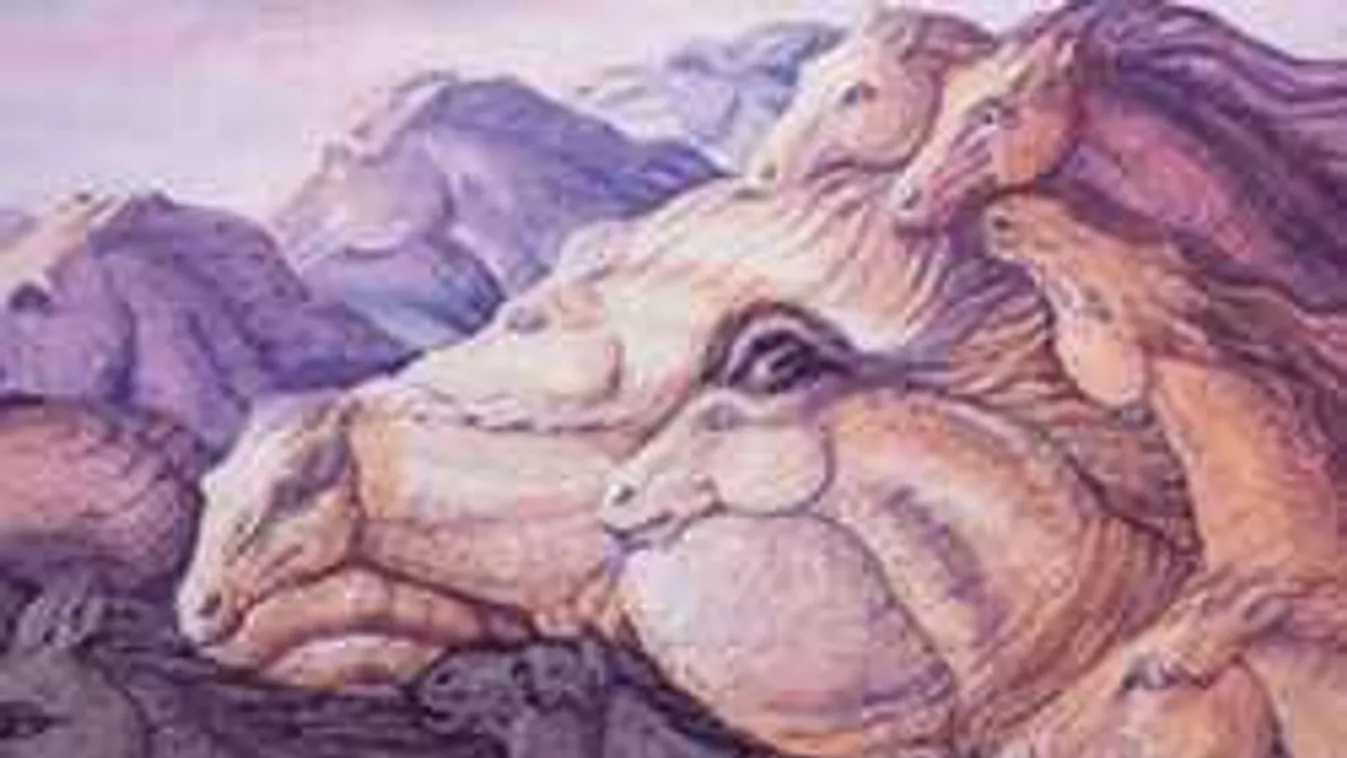 Amilyen könnyű, olyan őszinte ez a személyiségteszt - mindent elárul