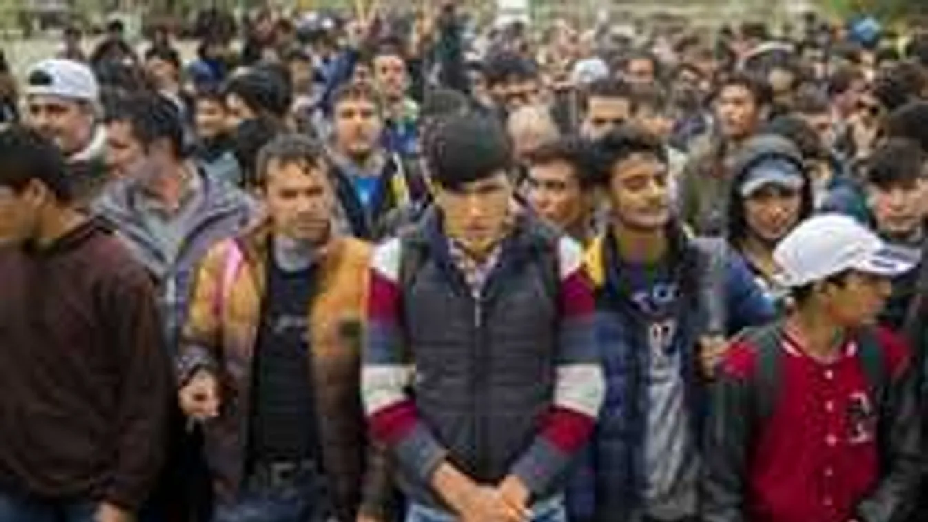 Afrika harmada átköltözne Európába