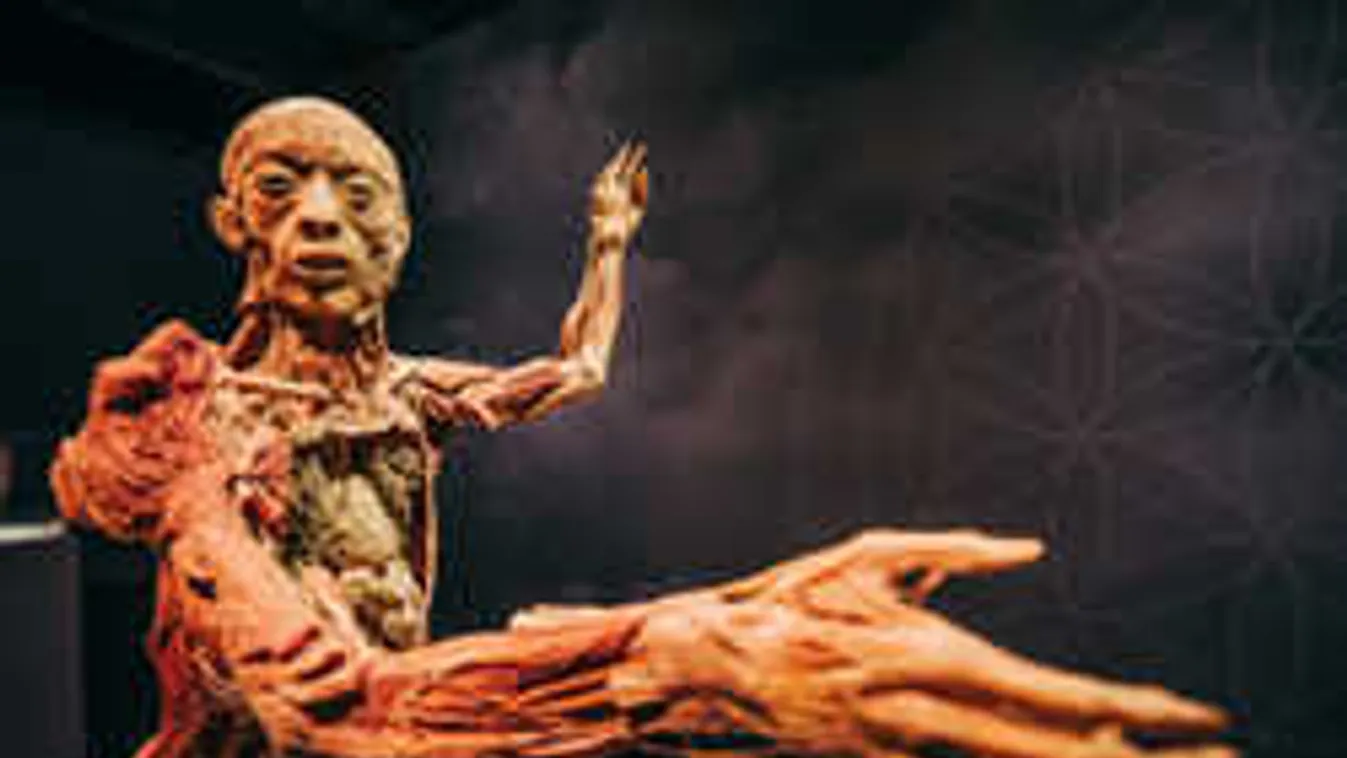 Budapestre érkezik a BODY kiállítás