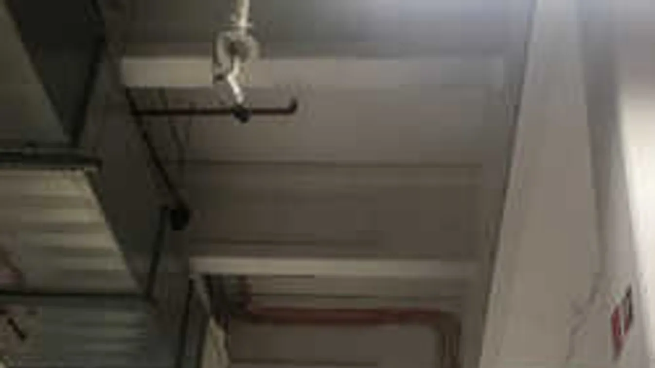 A Tesco is tiltott dolgot csinál a magyar vásárlókkal?