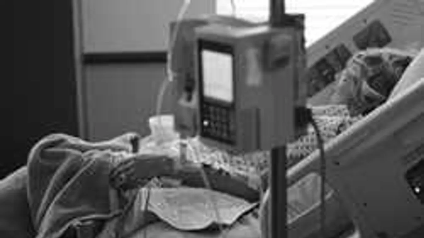 Elképesztő, mit kért az apa a vesebeteg lányától