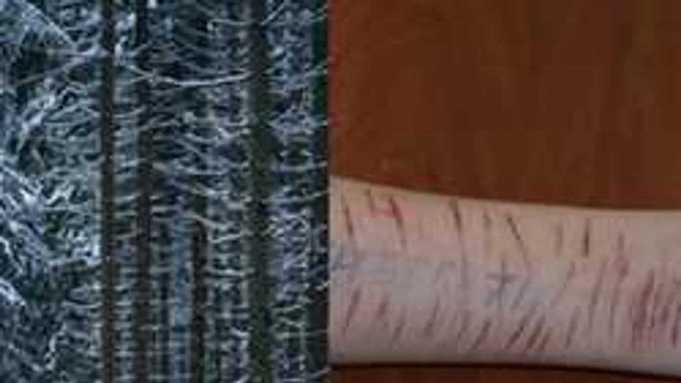 Újabb életveszélyes kihívás terjed, öngyilkosságra buzdítja a tiniket